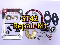 GT42 Repair Kit